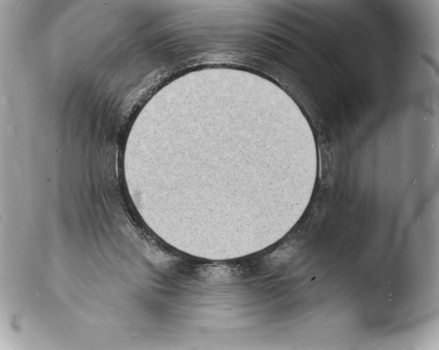X0000103970253200810171932