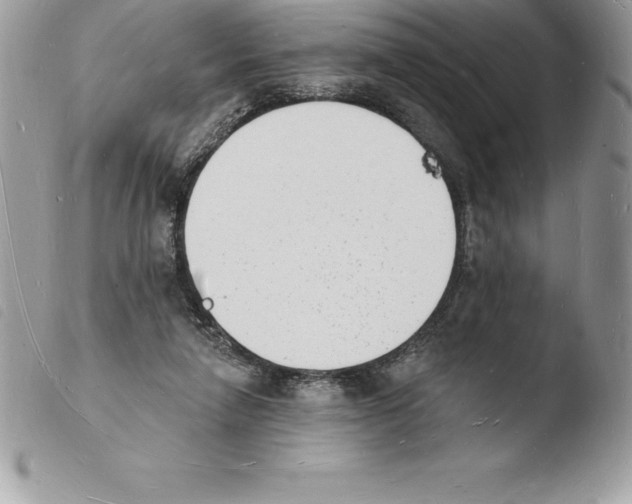 X0000103970258200810171932