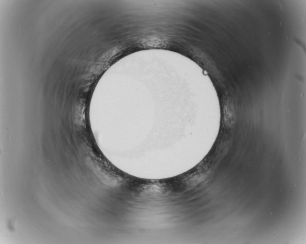 X0000103970259200810171932