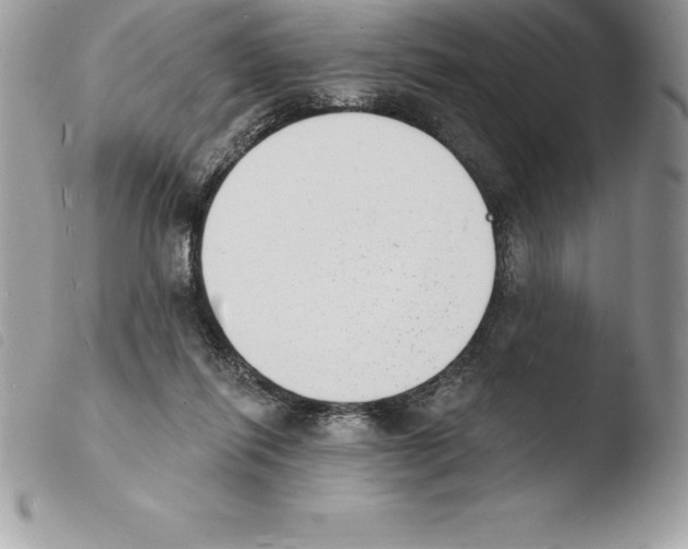 X0000103970262200810171932