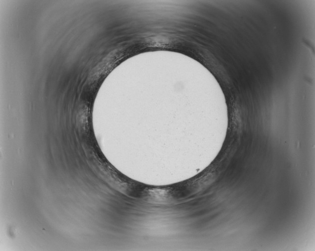 X0000103970265200810171932