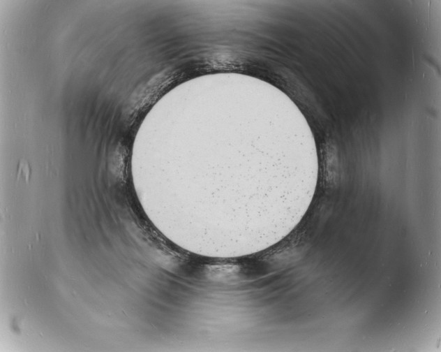 X0000103970266200810171932