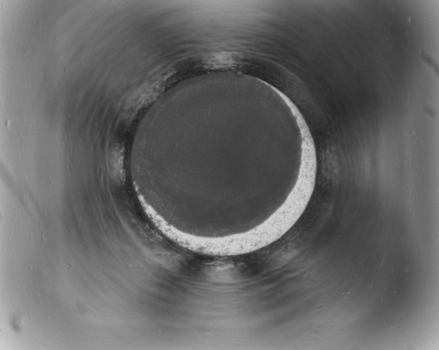 X0000103970267200810171932