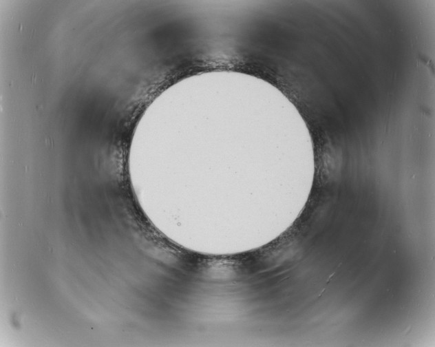 X0000103970268200810171932