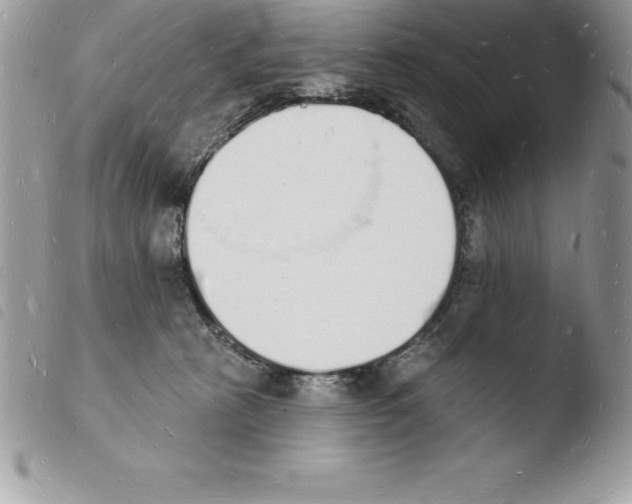 X0000103970273200810171932