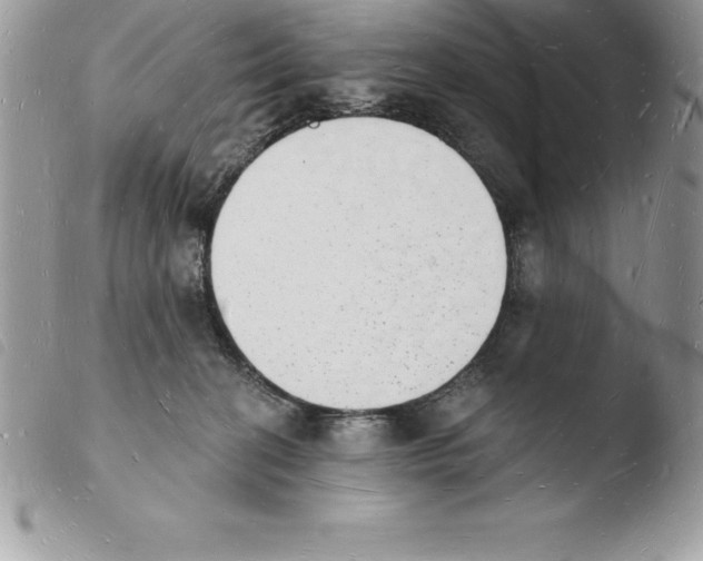 X0000103970274200810171932
