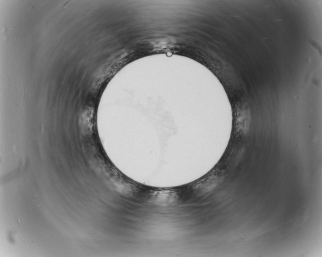 X0000103970275200810171932