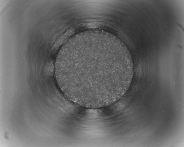 X0000103970277200810171932