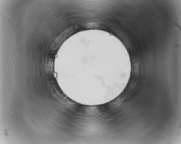 X0000103970281200810171932