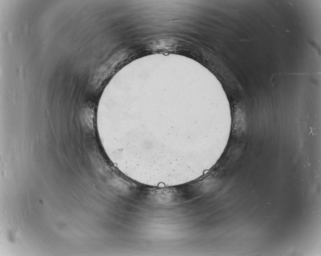 X0000103970282200810171932