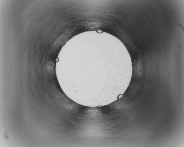 X0000103970283200810171932