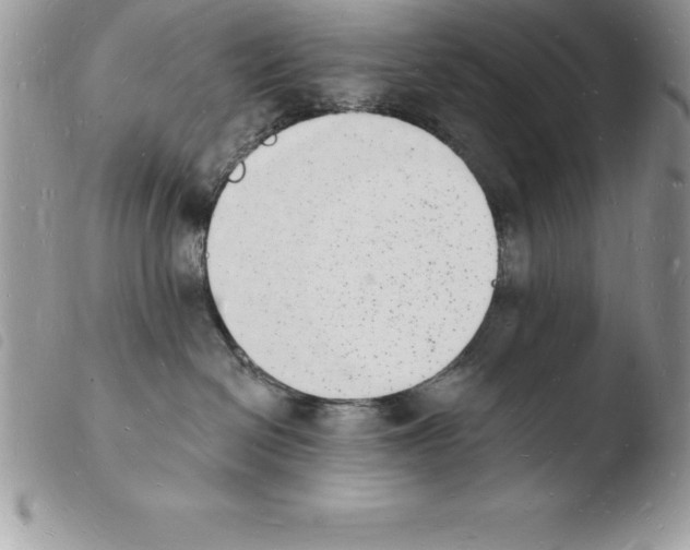 X0000103970286200810171932