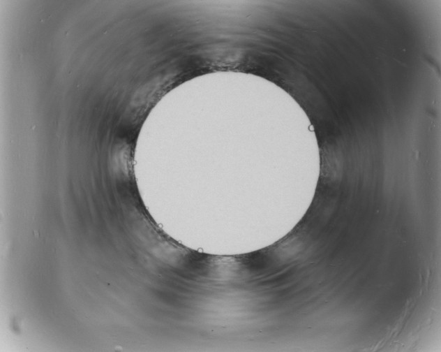 X0000103970287200810171932