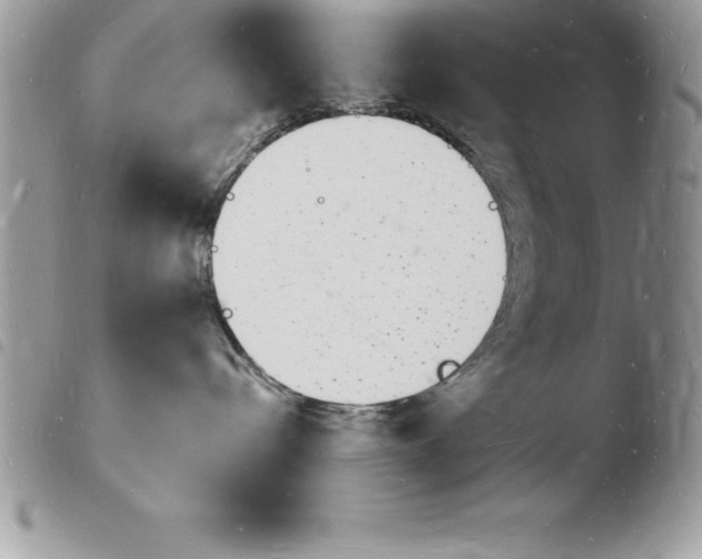 X0000103970288200810171932