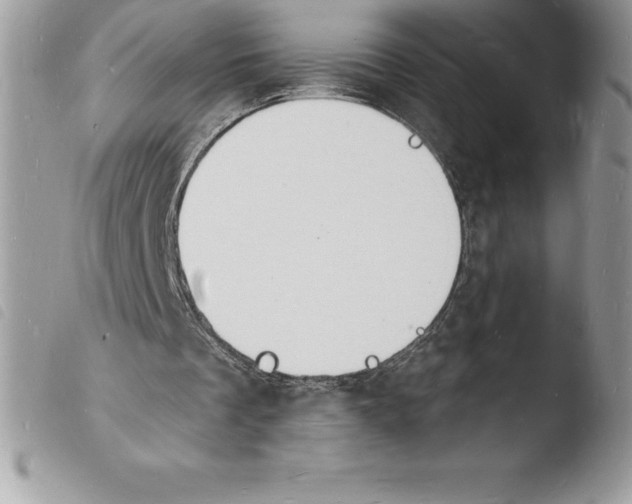 X0000103970289200810171932