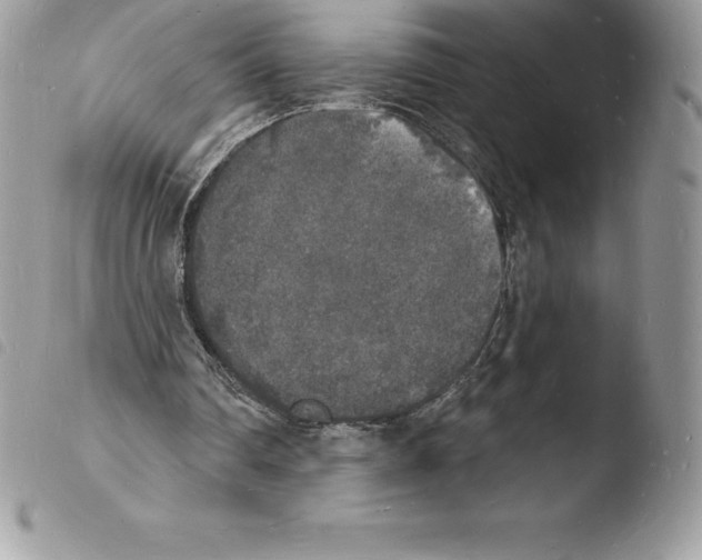 X0000103970290200810171932