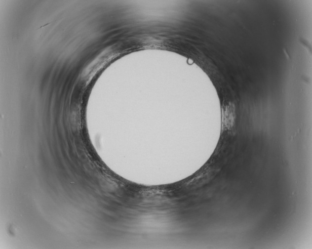 X0000103970291200810171932
