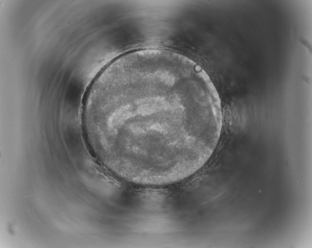 X0000103970292200810171932