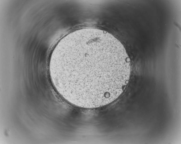 X0000103970293200810171932