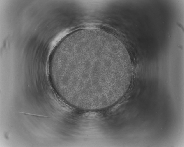 X0000103970294200810171931