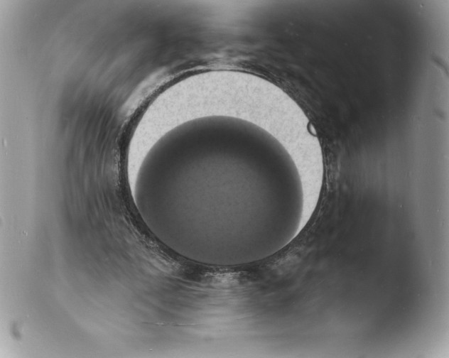 X0000103970295200810171931