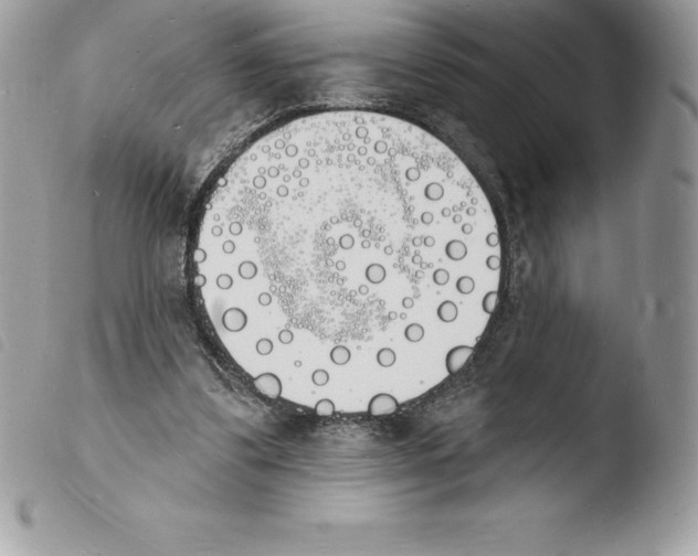 X0000103970299200810171931