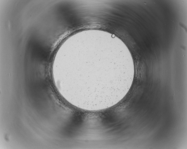 X0000103970300200810171931