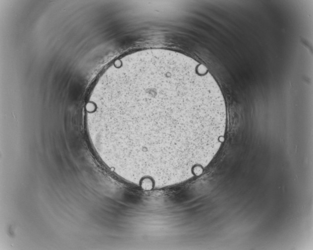 X0000103970301200810171931