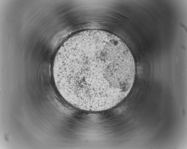 X0000103970302200810171931