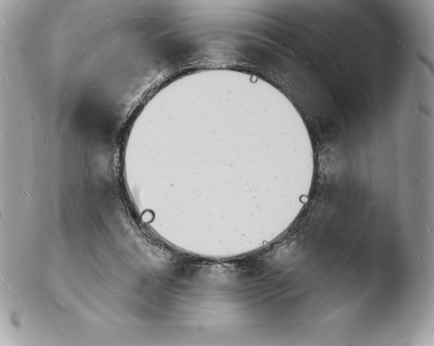 X0000103970304200810171931
