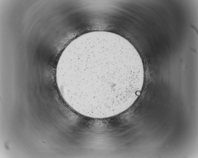 X0000103970305200810171931