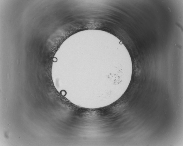 X0000103970307200810171931