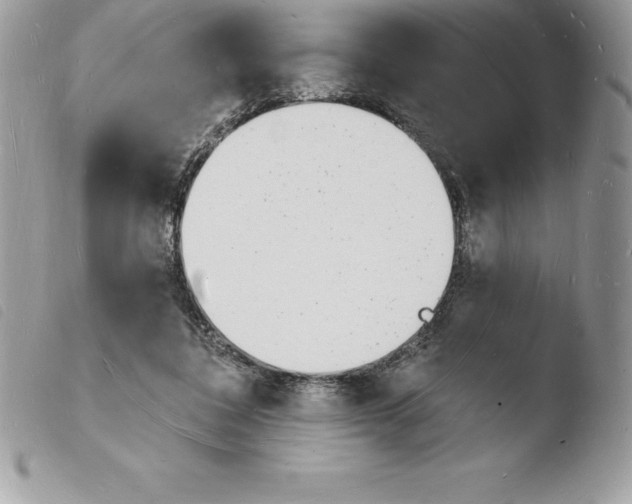 X0000103970308200810171931