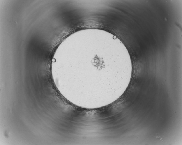 X0000103970309200810171931