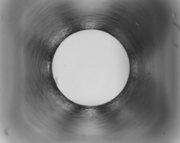 X0000103970310200810171931