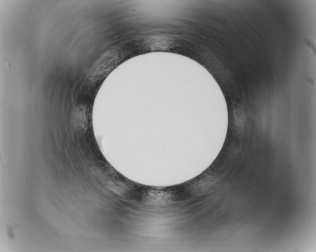 X0000103970311200810171931