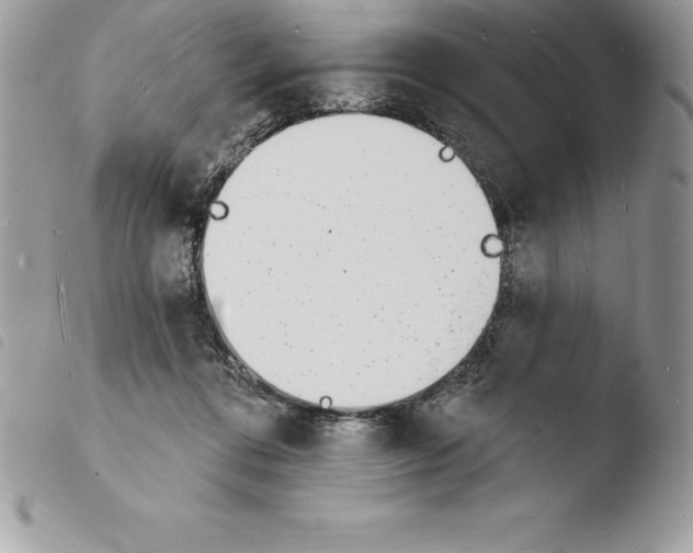 X0000103970312200810171931