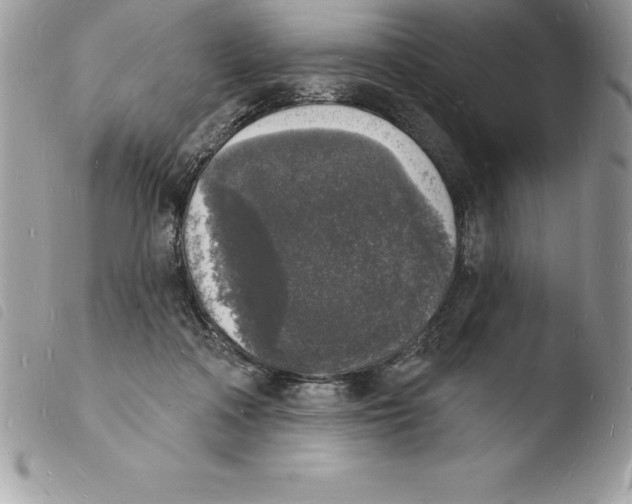 X0000103970314200810171931