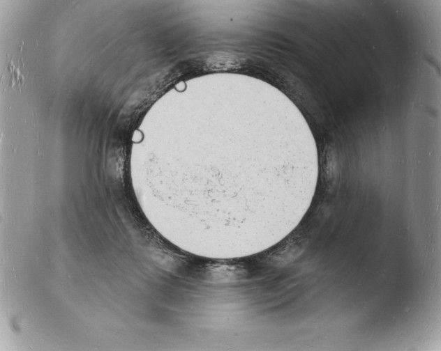X0000103970315200810171931