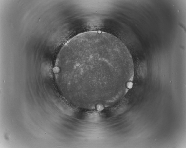 X0000103970316200810171931