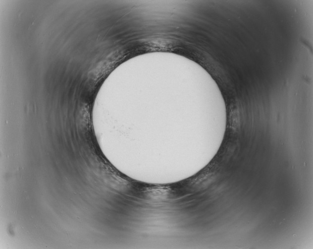 X0000103970318200810171931