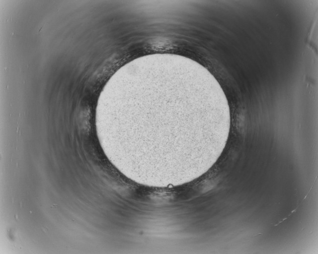X0000103970319200810171931