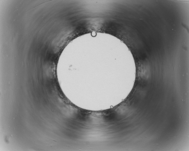 X0000103970332200810171931