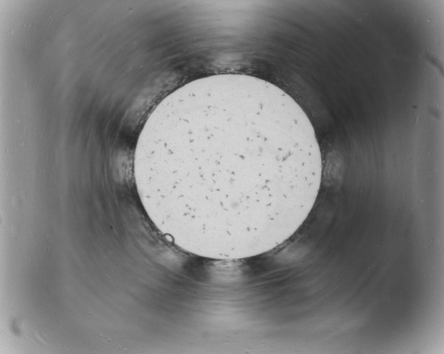 X0000103970335200810171931