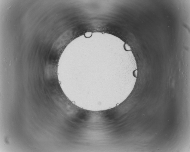 X0000103970336200810171931