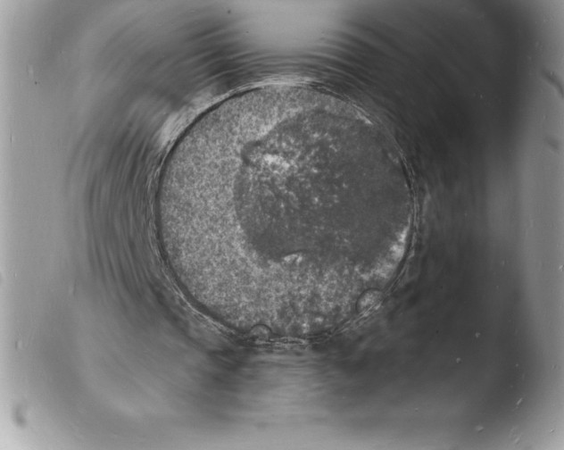 X0000103970337200810171930