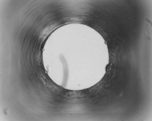 X0000103970338200810171930