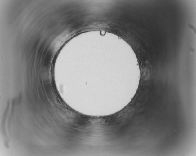 X0000103970340200810171930