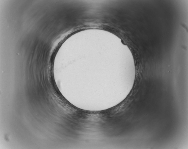 X0000103970342200810171930