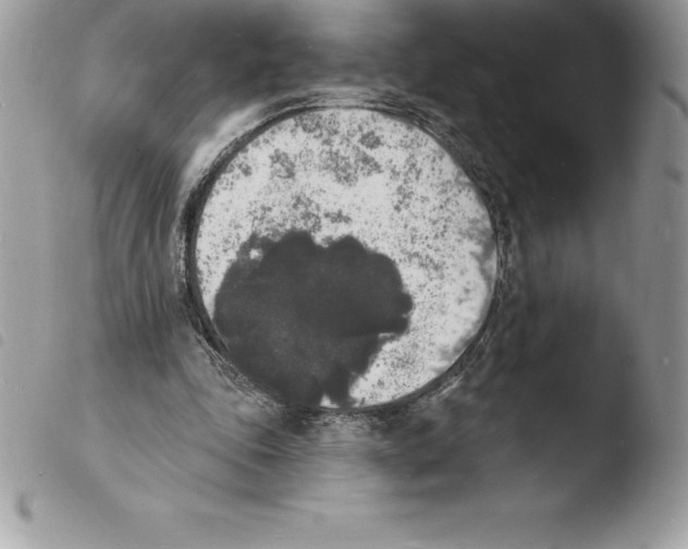 X0000103970343200810171930